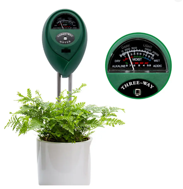 view